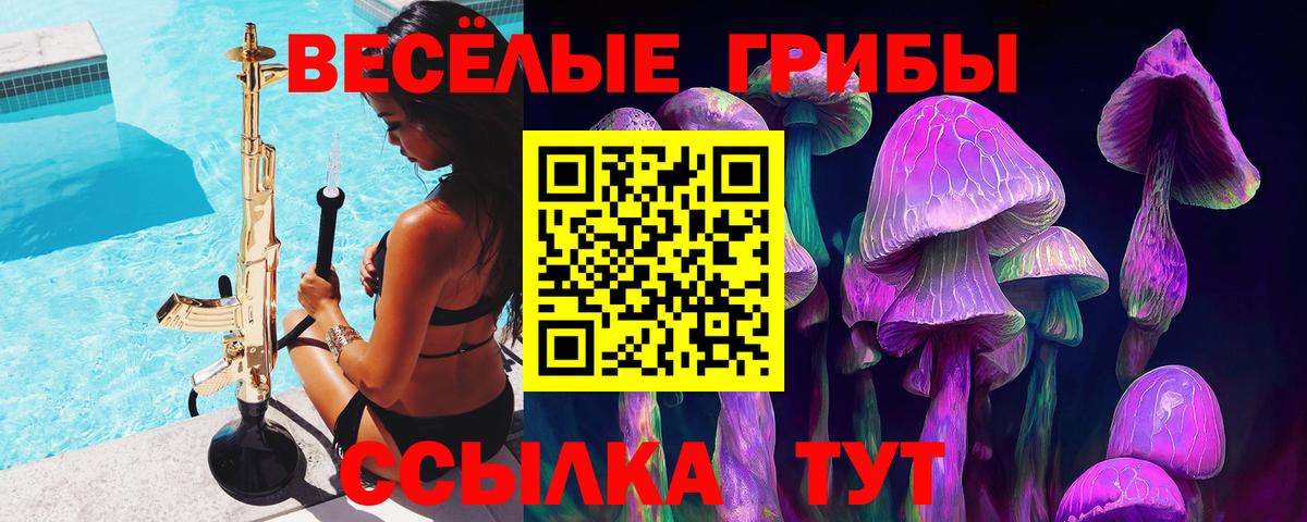Псилоцибиновые грибы ЛСД Рузаевка