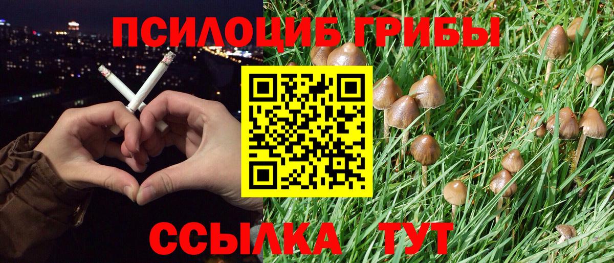 Рузаевка  Псилоцибиновые грибы Cubensis  Вход с VPN 